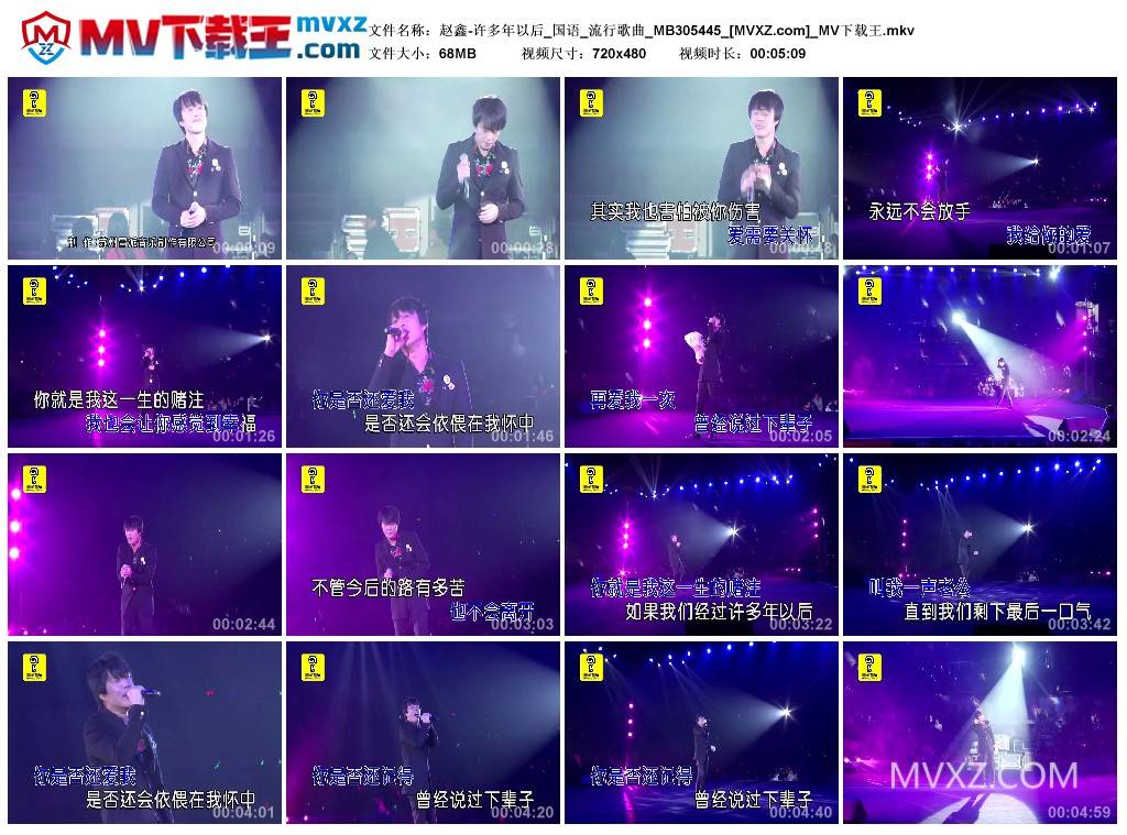 赵鑫-许多年以后_国语_流行歌曲_MB305445